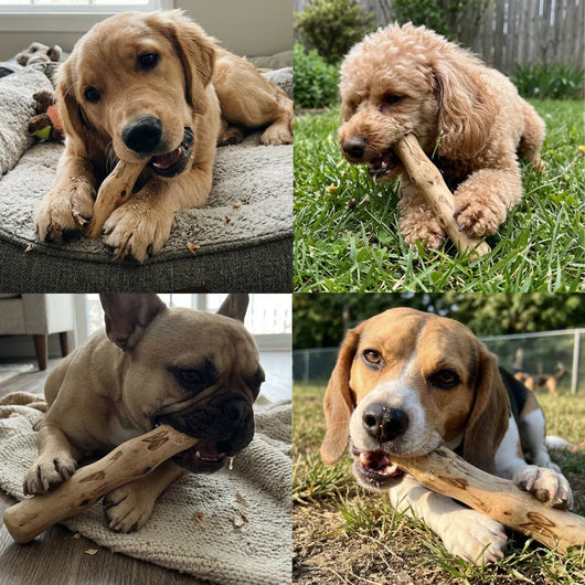 ROASTBONE® COFFEE WOOD CHEW