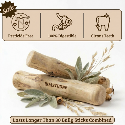ROASTBONE® COFFEE WOOD CHEW